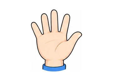 hand illustration