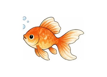 fish illustration