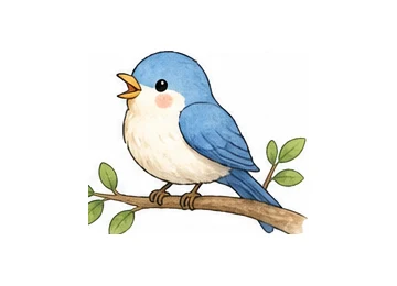 bird illustration