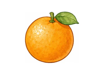 orange illustration