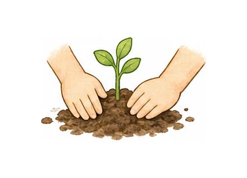 plant illustration