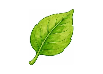 green illustration