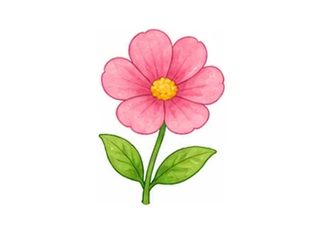 pink illustration