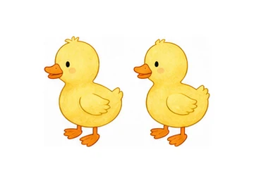 two illustration