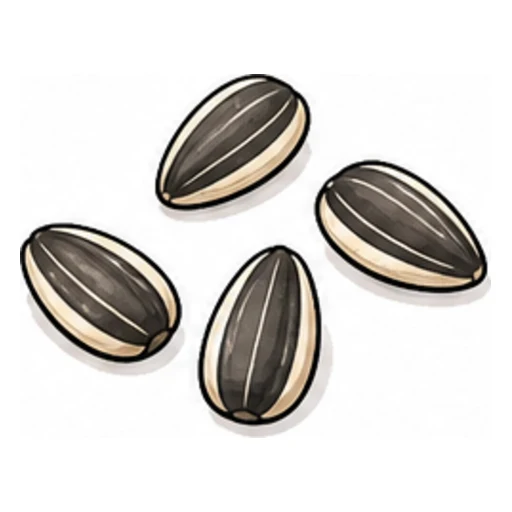 seed illustration
