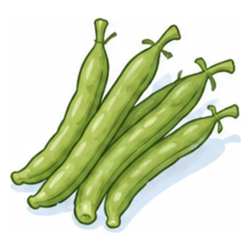 green bean illustration