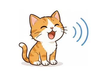 miaow illustration